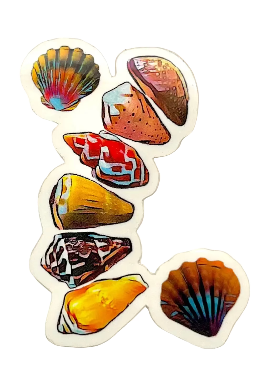 Shells ‘z’ Colorful - Sticker