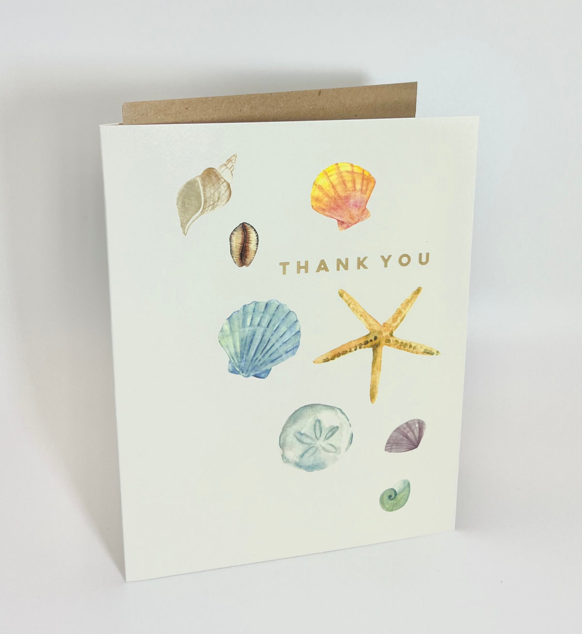 Seashells Thank You Card