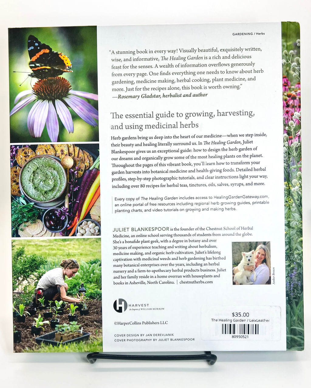 The Healing Garden