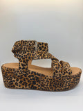 Pascal Heel
