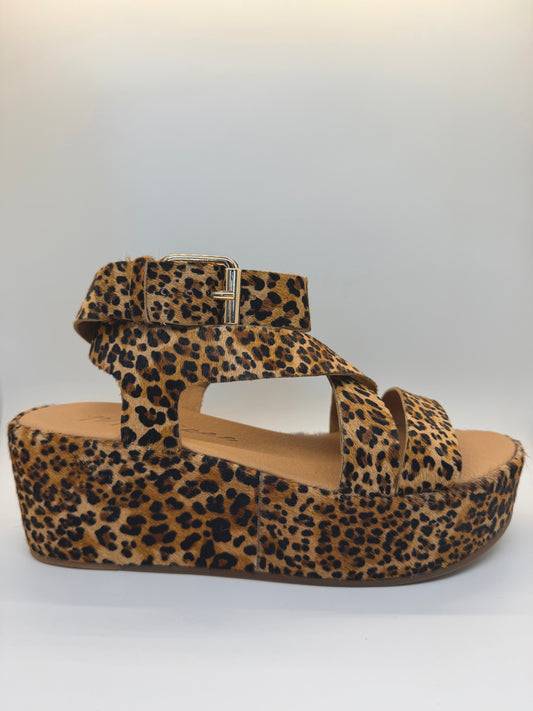 Pascal Heel