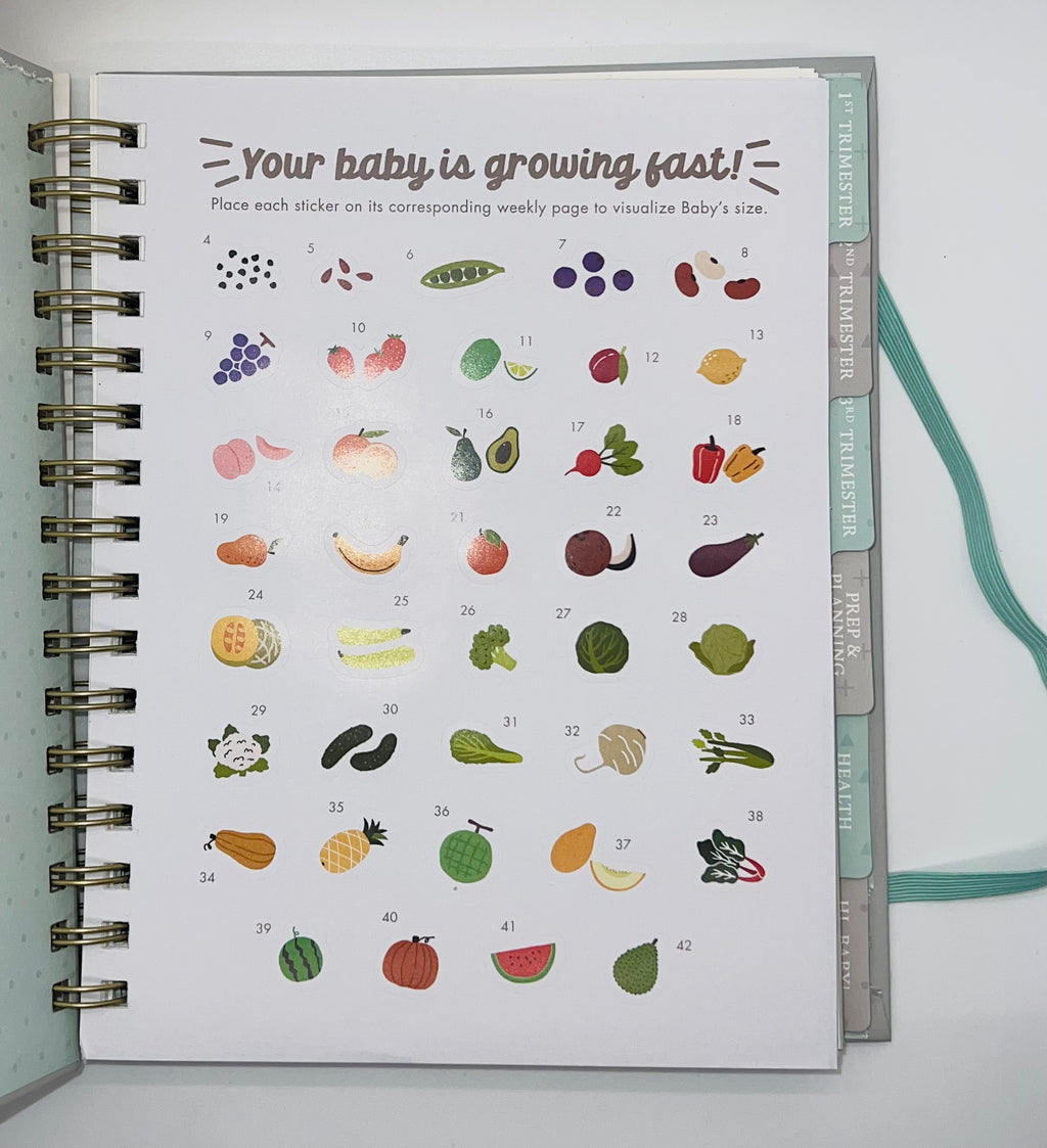 Countdown to Baby Undated Pregnancy Planner