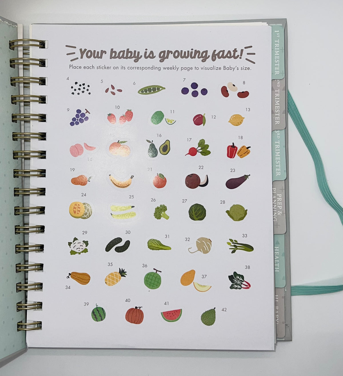 Countdown to Baby Undated Pregnancy Planner