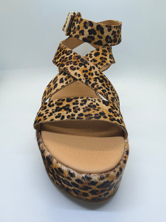 Pascal Heel