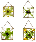 Hawaii Flower Decor