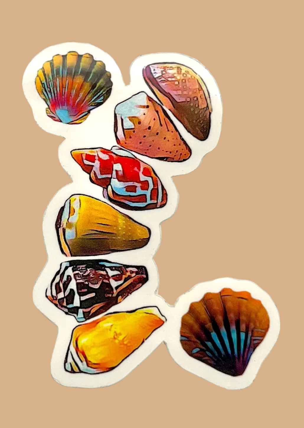 Shells ‘z’ Colorful Sticker